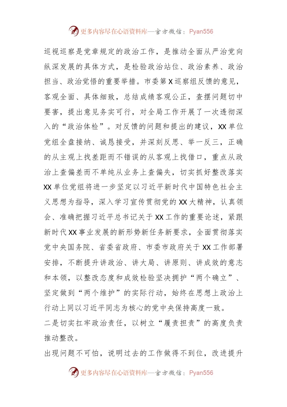 XX市局主要负责同志在巡察反馈会议上的讲话提纲.docx_第2页