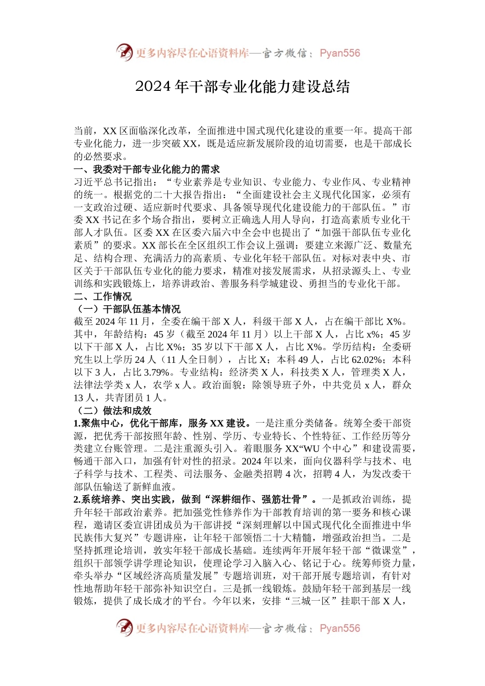 2024年干部专业化能力建设总结.docx_第1页