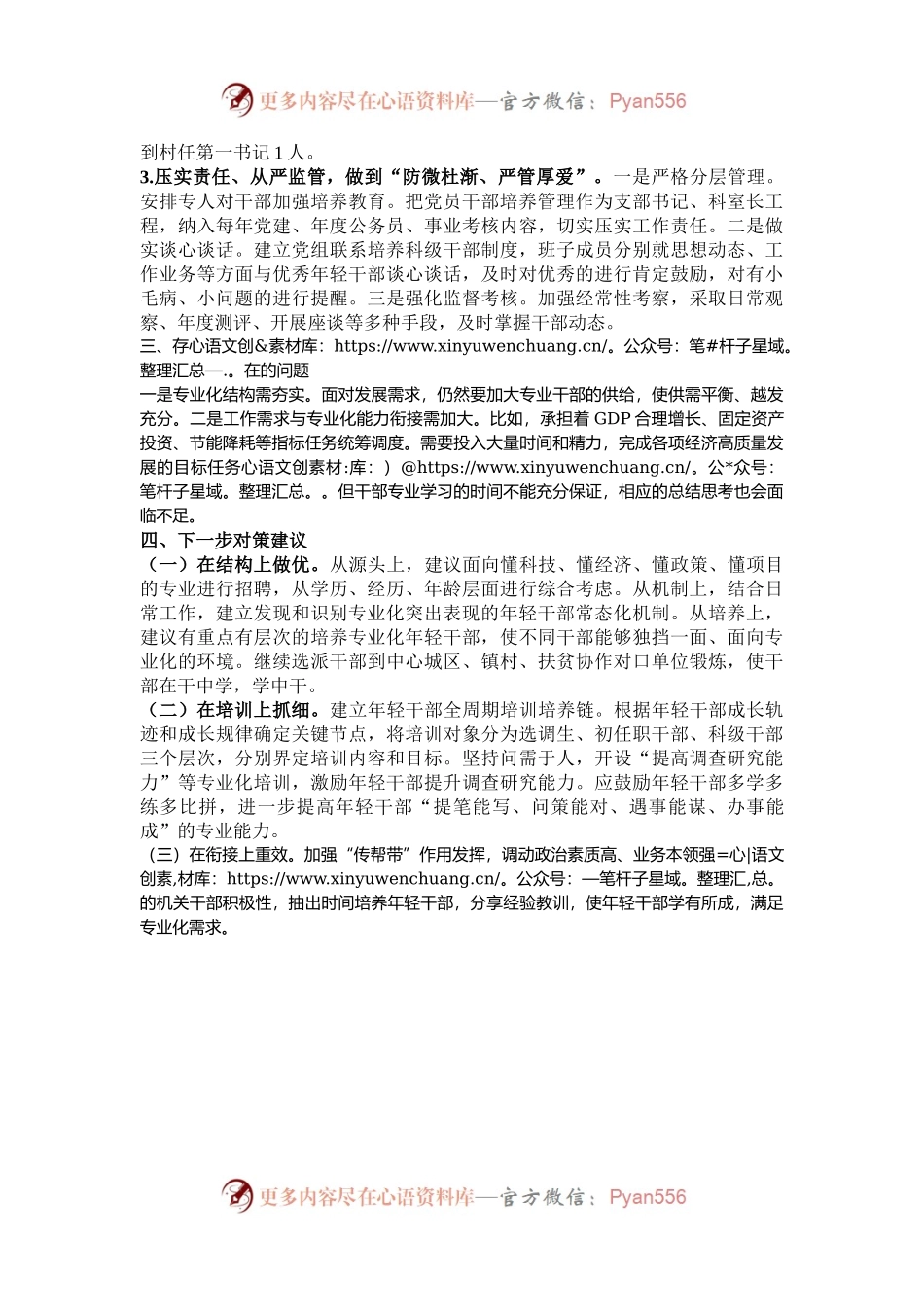 2024年干部专业化能力建设总结.docx_第2页
