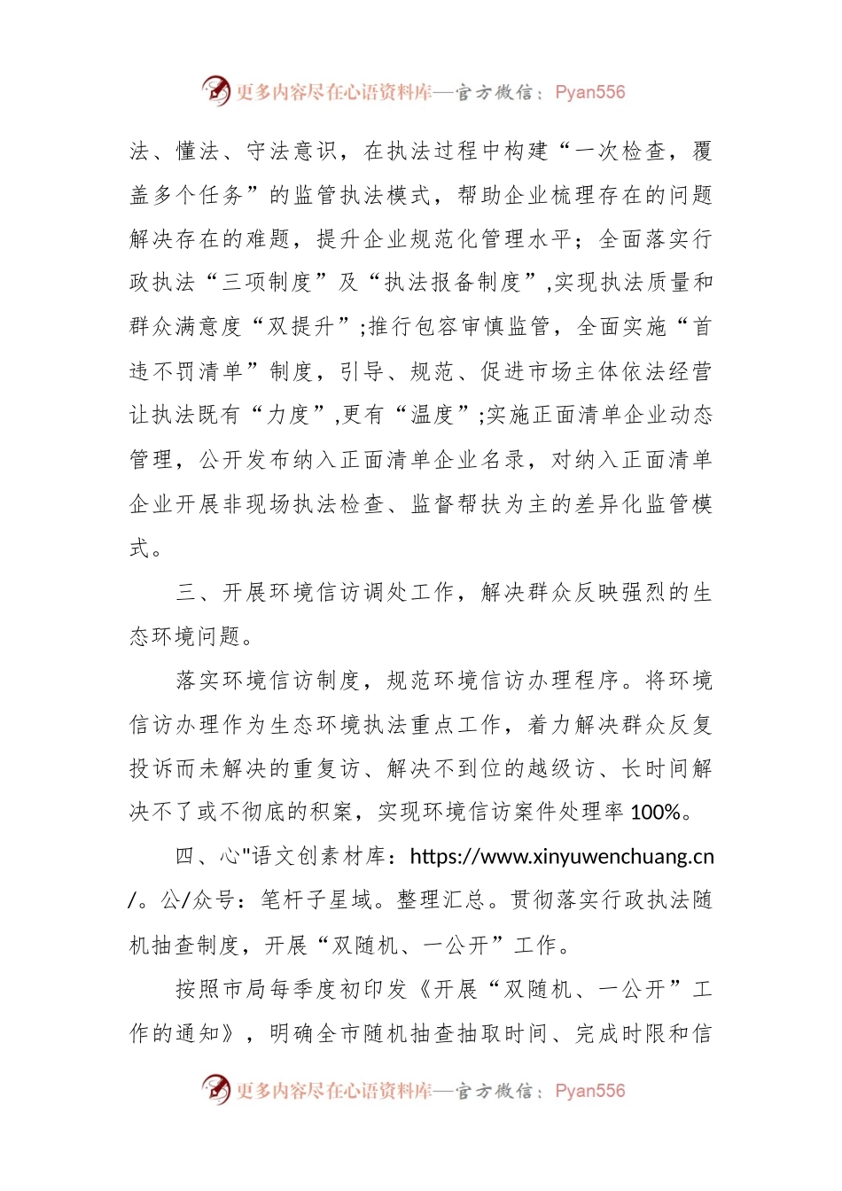 2024年XX县生态环境保护综合行政执法大队工作要点.docx_第2页
