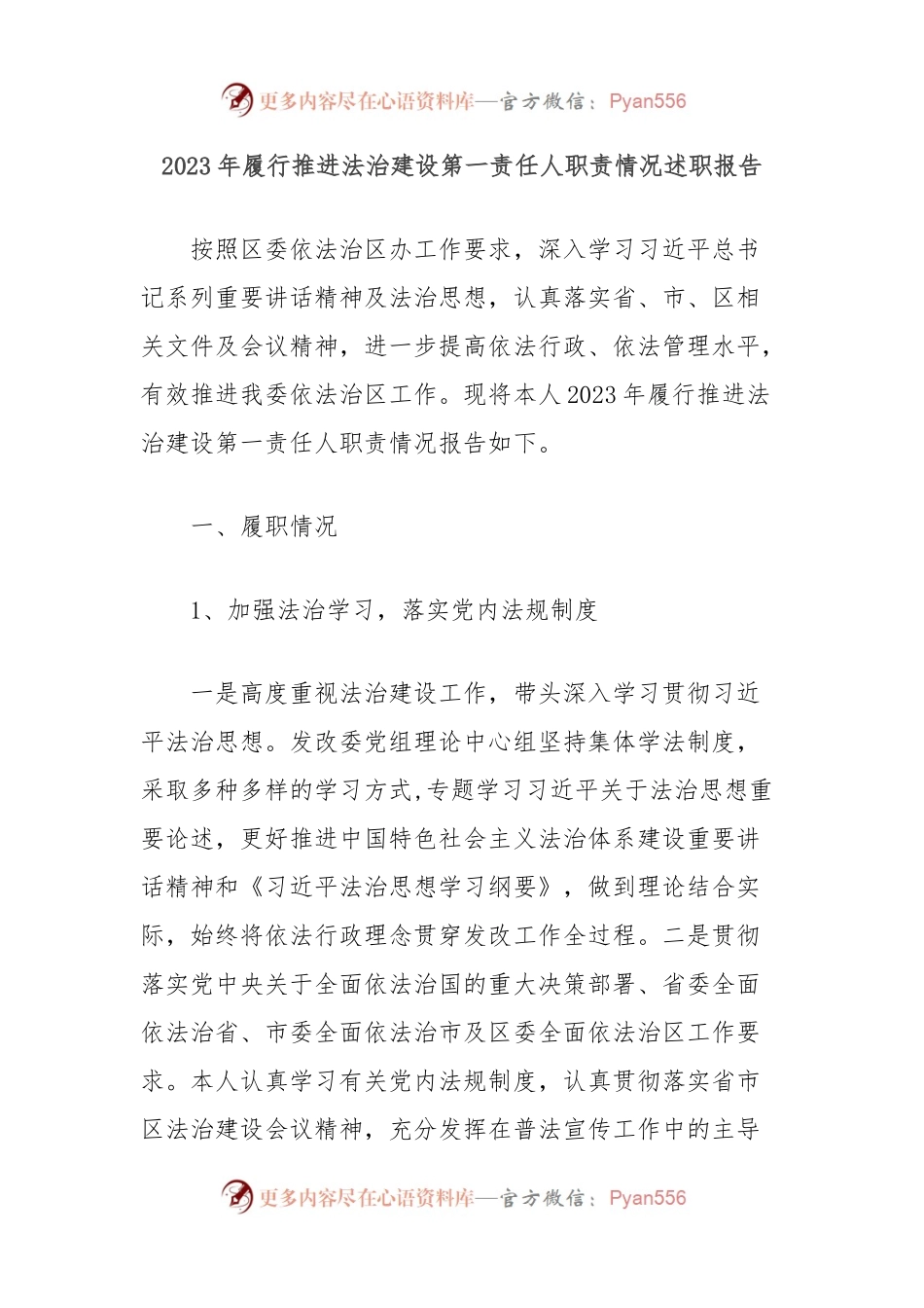 2023年履行推进法治建设第一责任人职责情况述职报告.docx_第1页