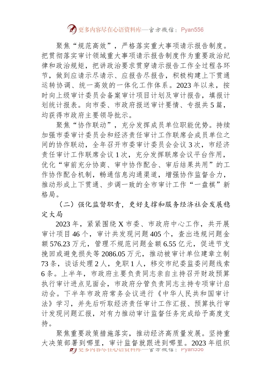 2023年度X市审计工作总结.docx_第2页
