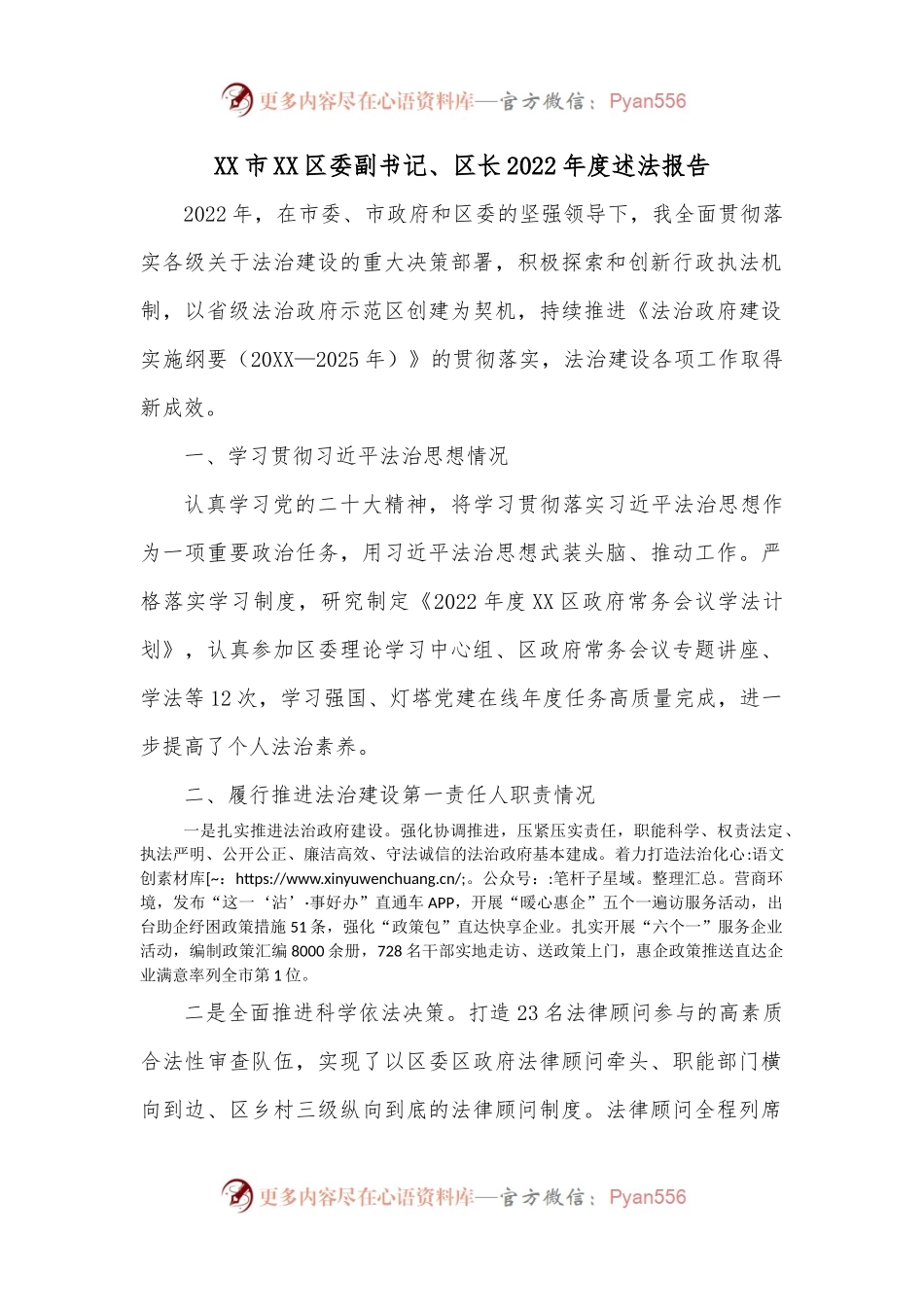 XX市XX区委副书记、区长2022年度述法报告.docx_第1页