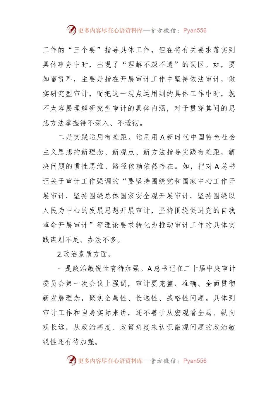 XX审计局党组书记主题教育民主生活会材料.docx_第2页