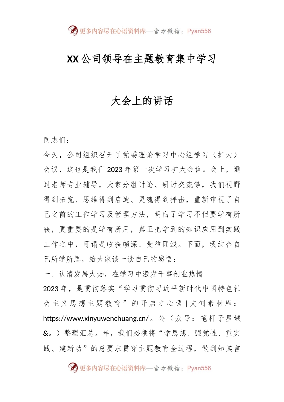 XX公司领导在主题教育集中学习大会上的讲话.docx_第1页