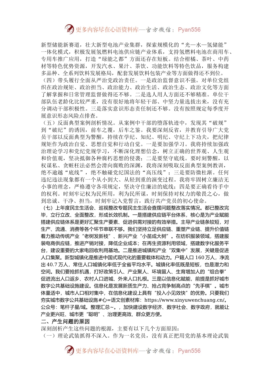 2024年度民主生活会领导干部对照检查材料（四个带头+反面典型案例）.docx_第2页