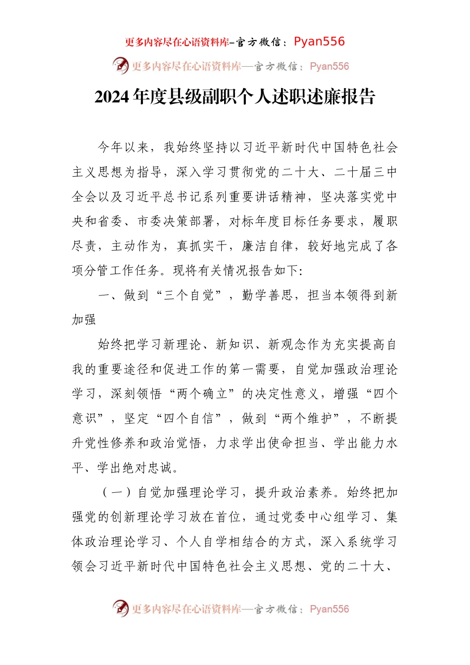 2024年度县级副职个人述职述廉报告.docx_第1页