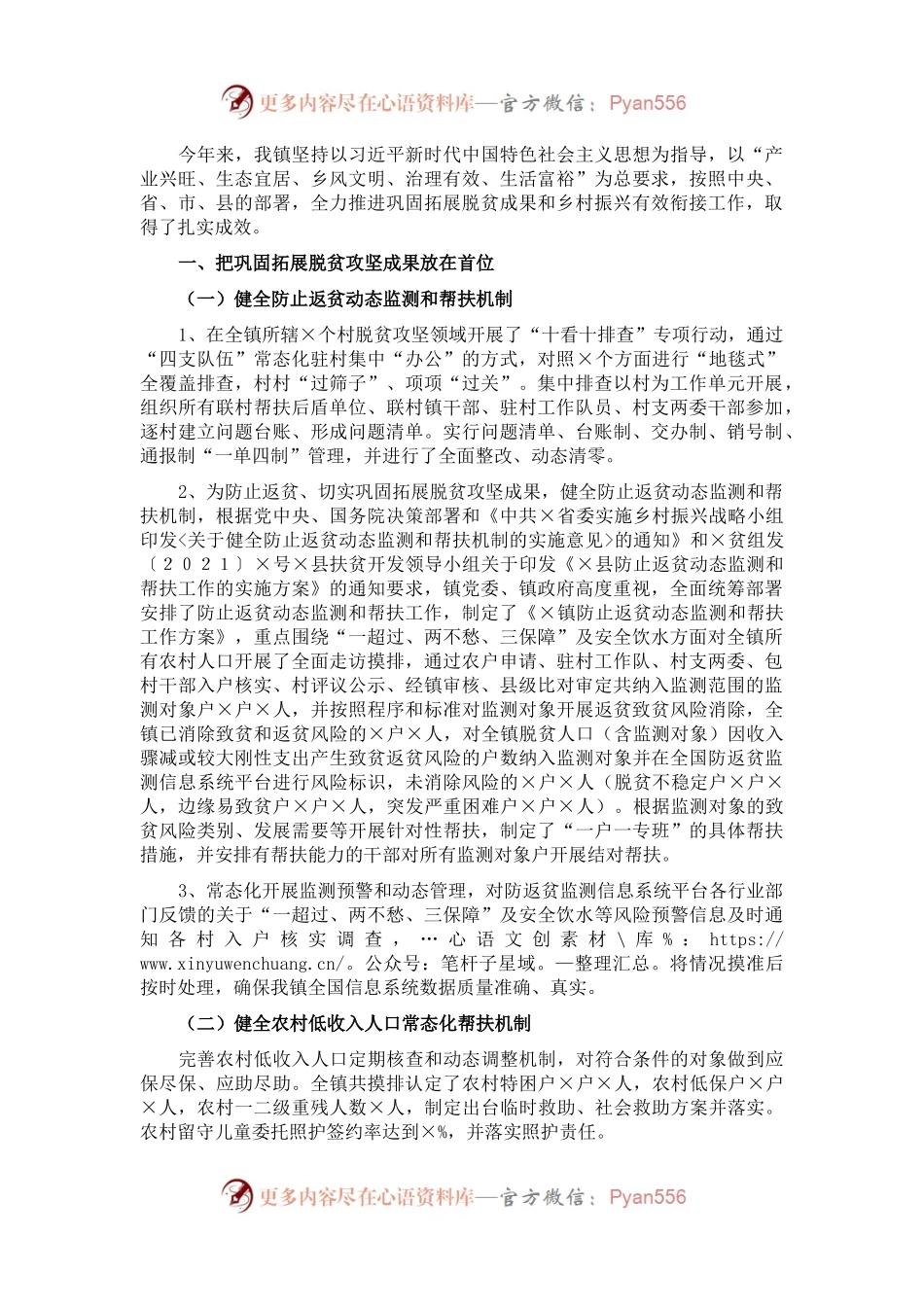 202X年实施乡村振兴战略工作总结.docx_第1页