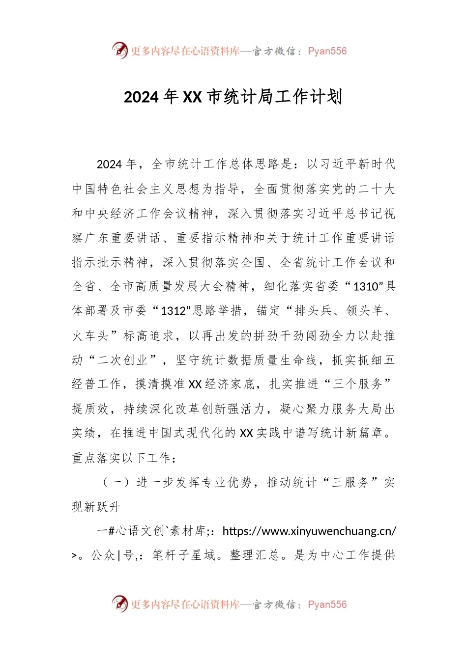2024年XX市统计局工作计划.docx_第1页