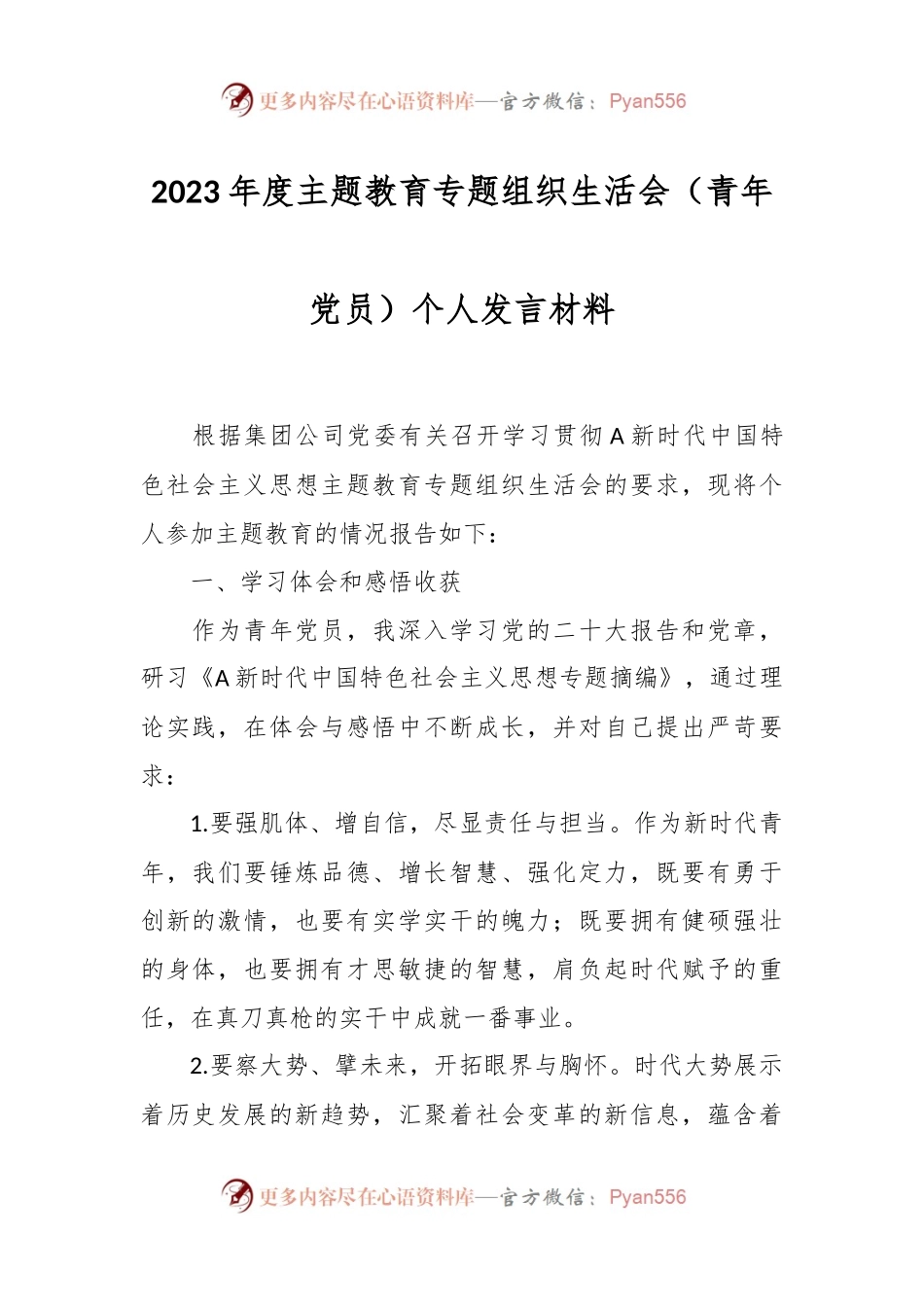 2023年度主题教育专题组织生活会（青年党员）个人发言材料.docx_第1页