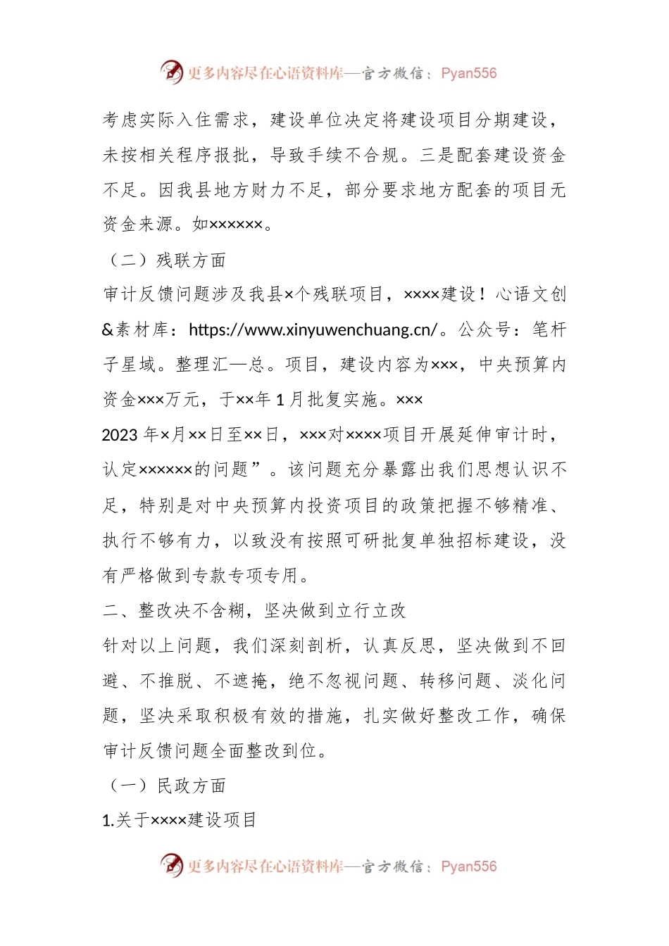 XX副县长在全市项目审计反馈问题整改工作专题会议上的表态发言.docx_第2页