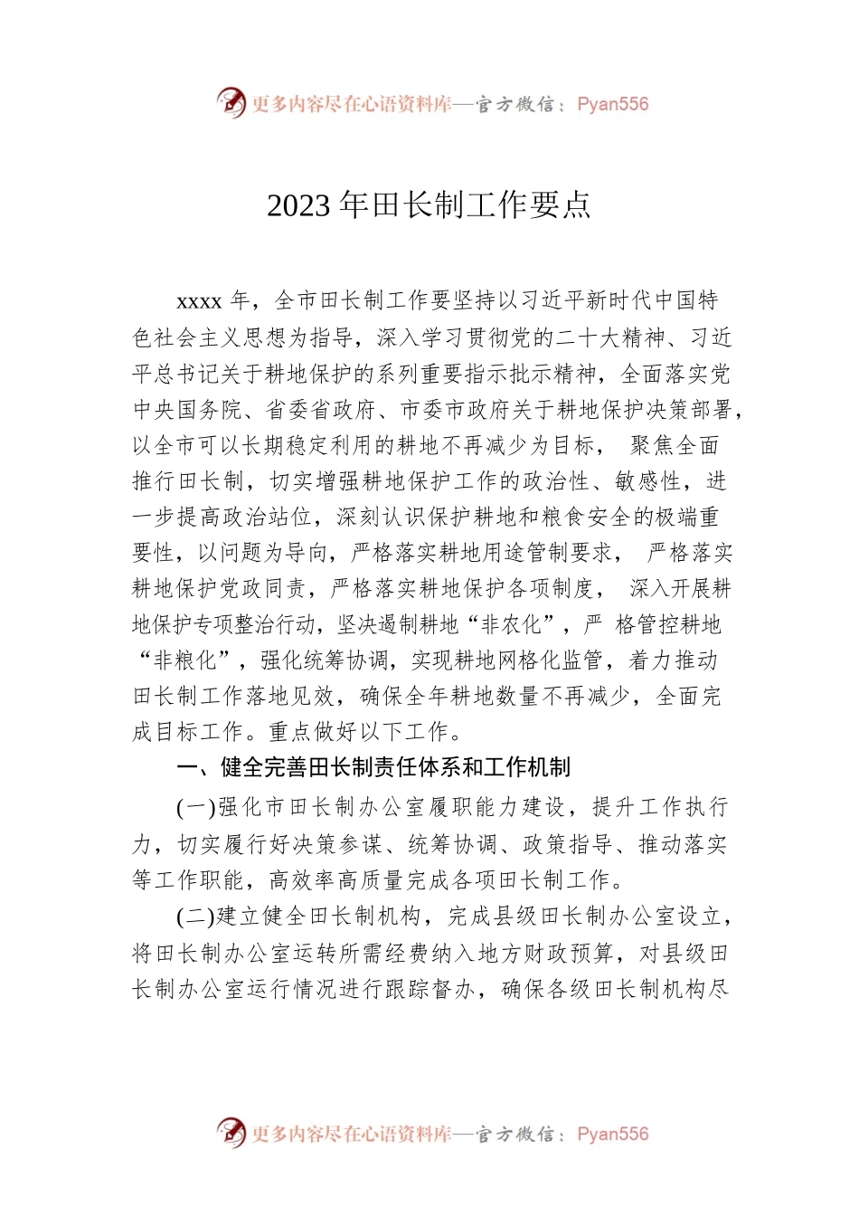 2023年田长制工作要点.docx_第1页