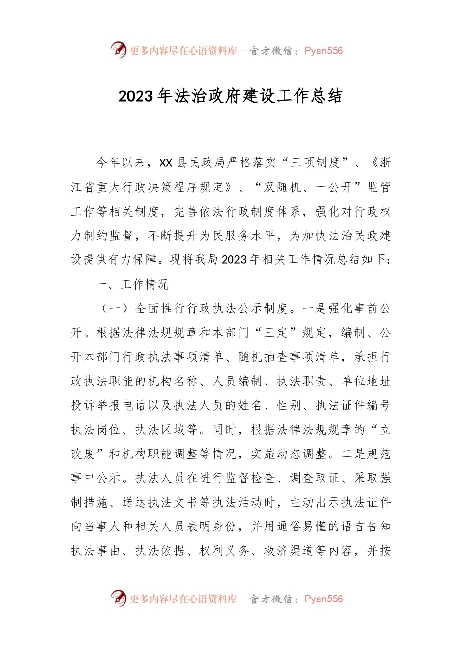2023年法治政府建设工作总结.docx_第1页