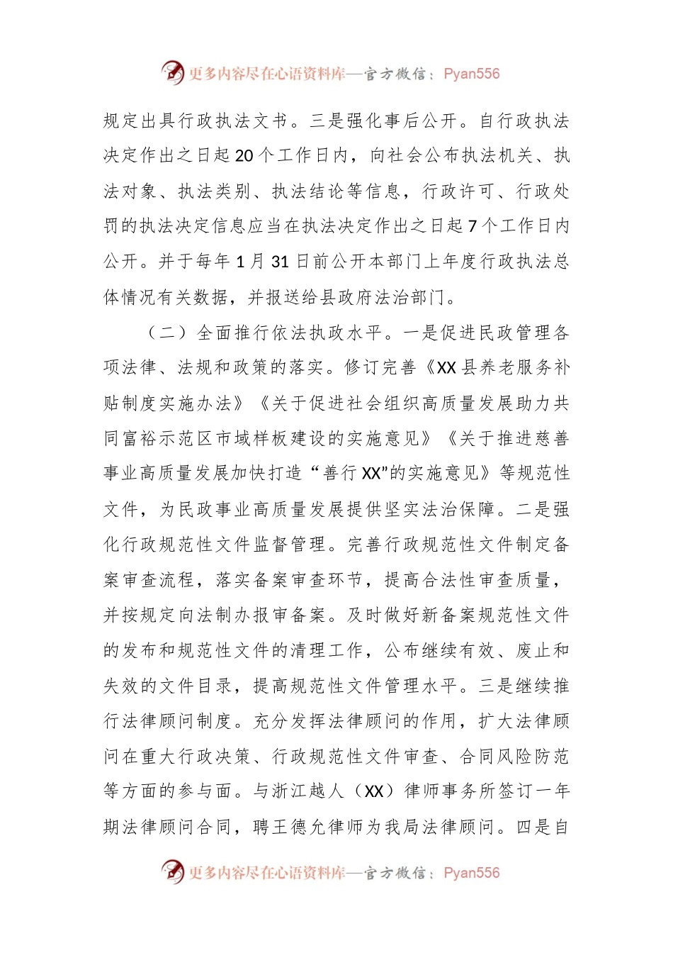 2023年法治政府建设工作总结.docx_第2页