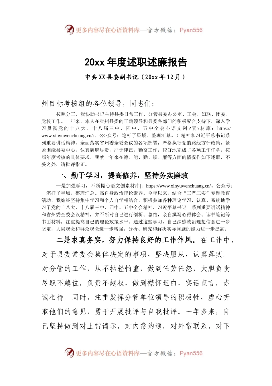 g-20XX年度述职述廉报告(副书记).docx_第1页