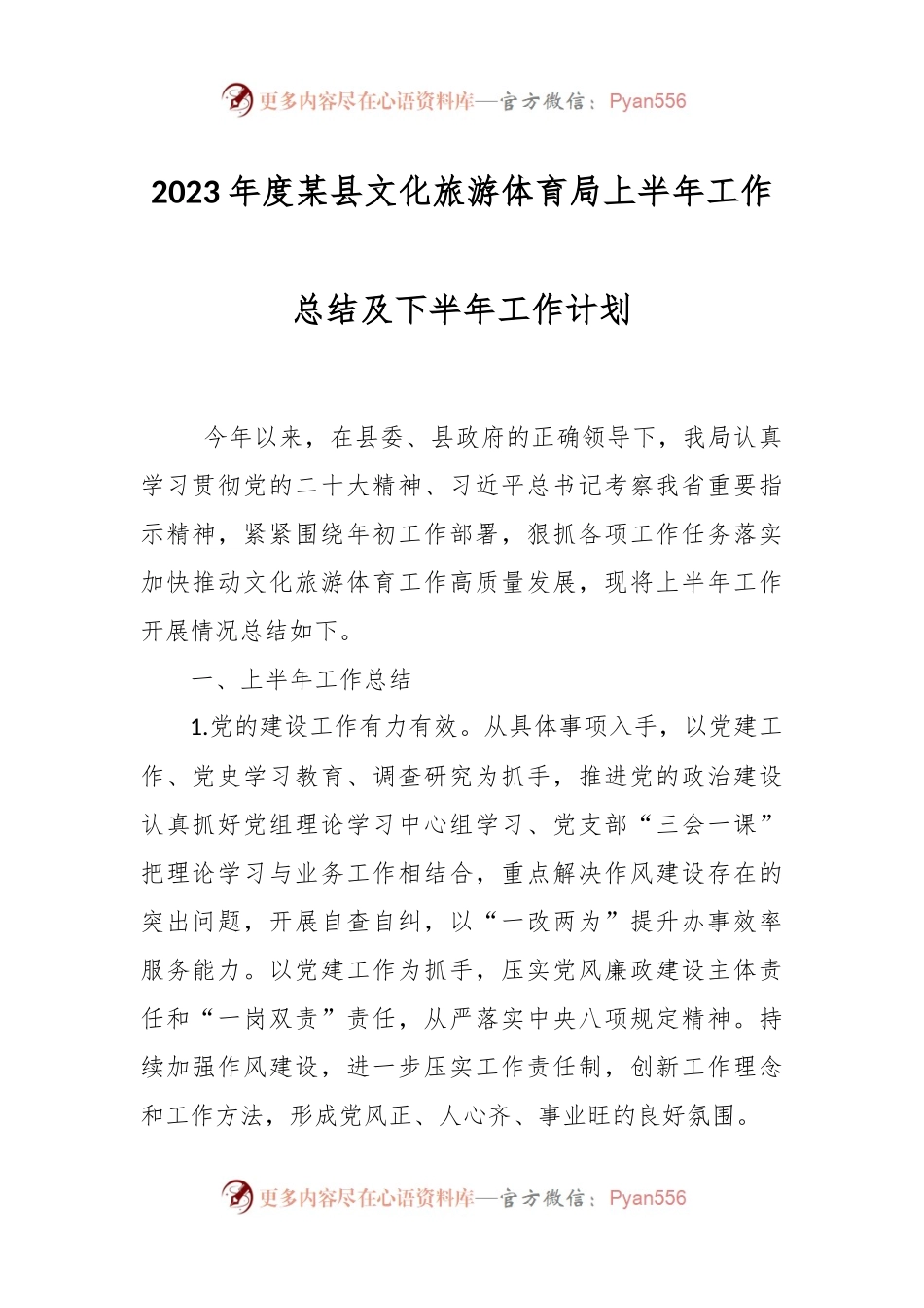 2023年度某县文化旅游体育局上半年工作总结及下半年工作计划.docx_第1页