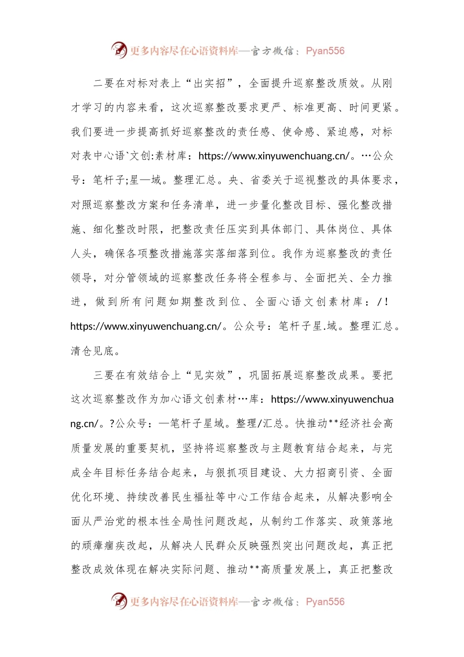 2024年巡察整改研讨发言提纲.docx_第2页