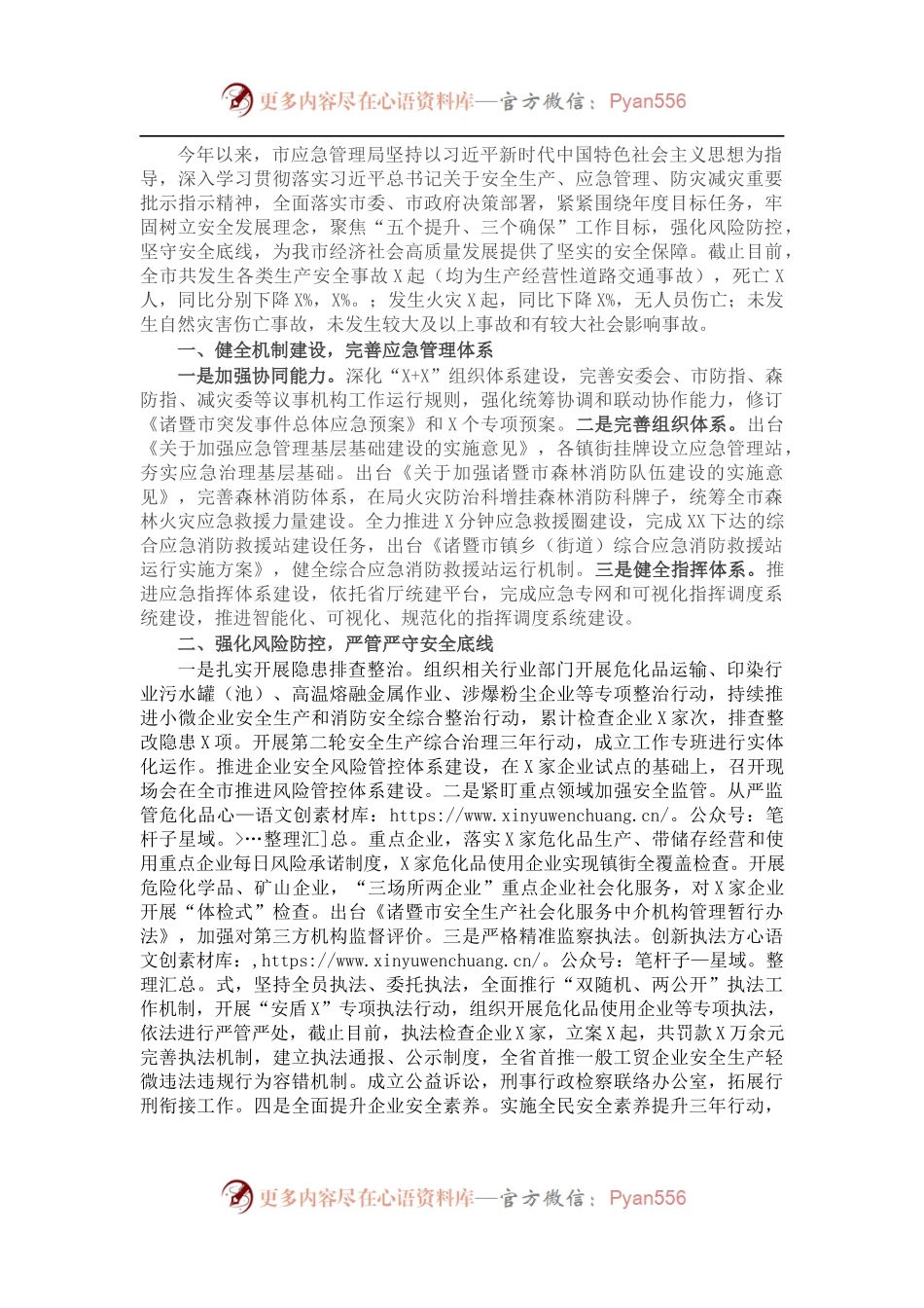 202X年市应急管理局工作总结.docx_第1页