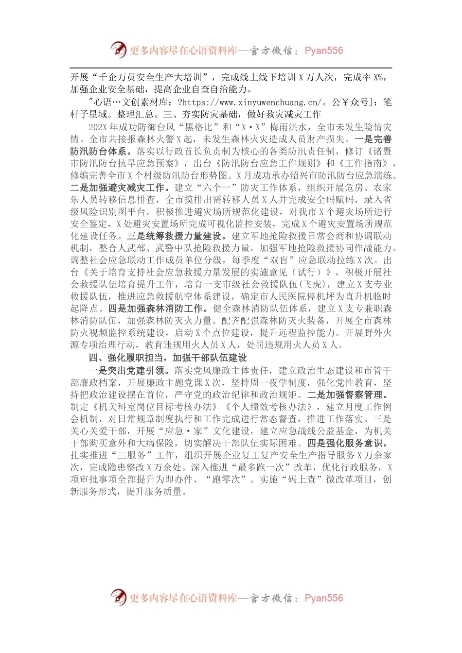 202X年市应急管理局工作总结.docx_第2页