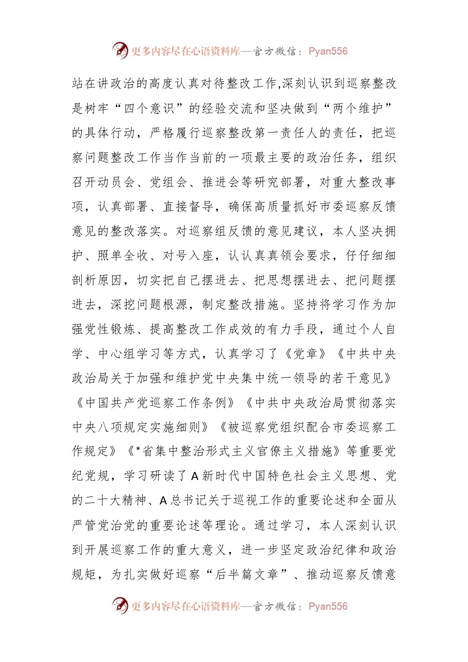 XX局党组主要负责人组织落实巡察反馈意见整改情况的报告.docx_第2页