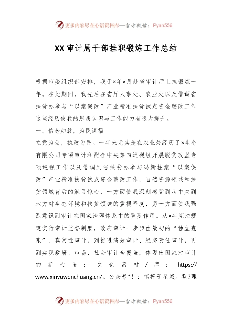 XX审计局干部挂职锻炼工作总结.docx_第1页