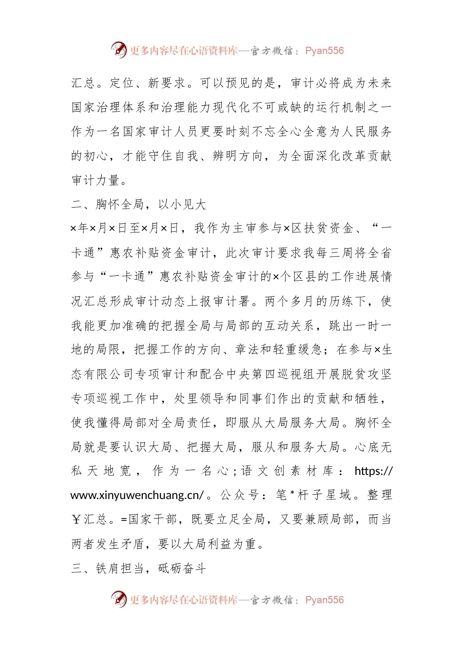 XX审计局干部挂职锻炼工作总结.docx_第2页