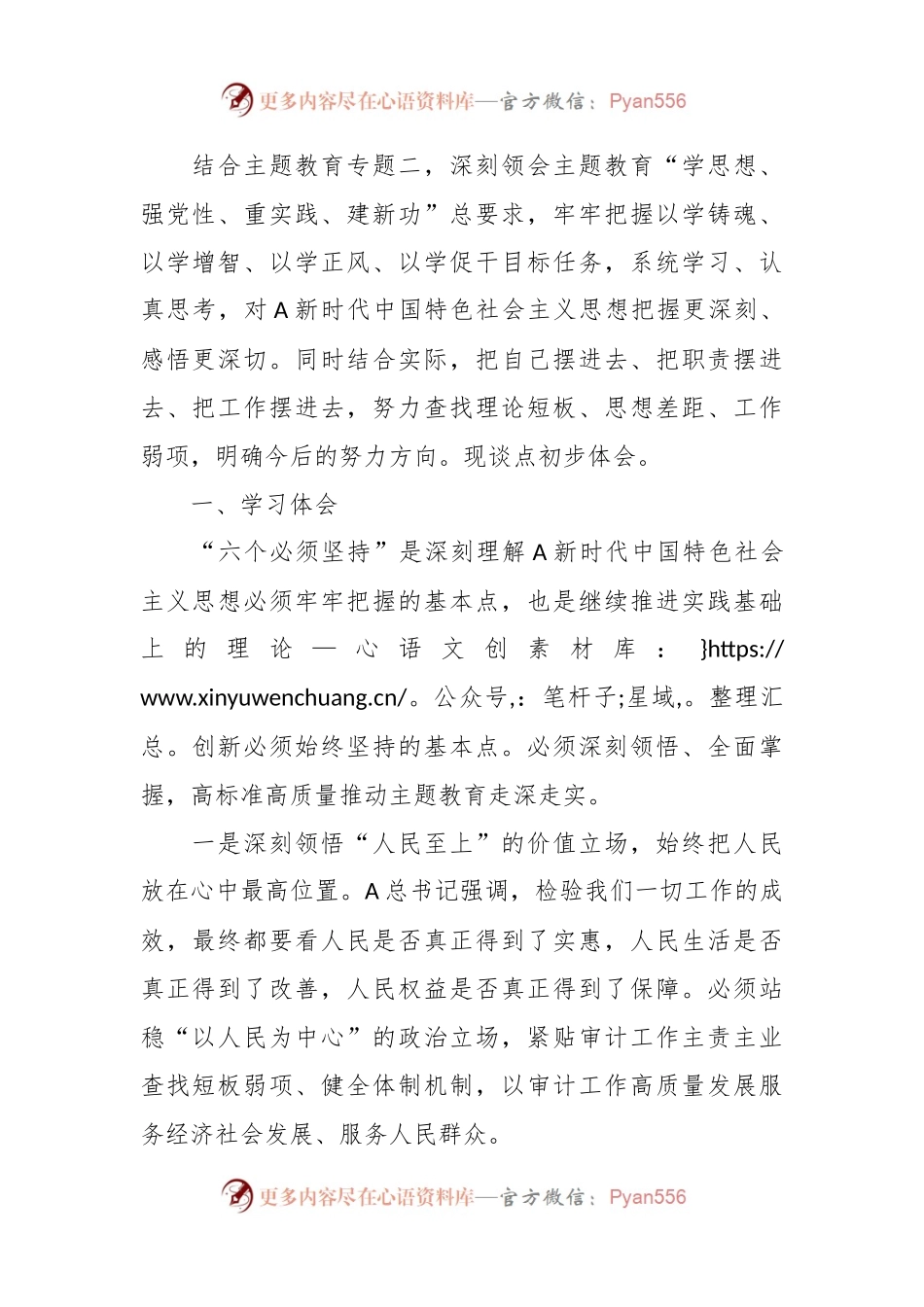 XX审计局局长在主题教育“六个必须坚持”专题学习会上的交流材料.docx_第2页