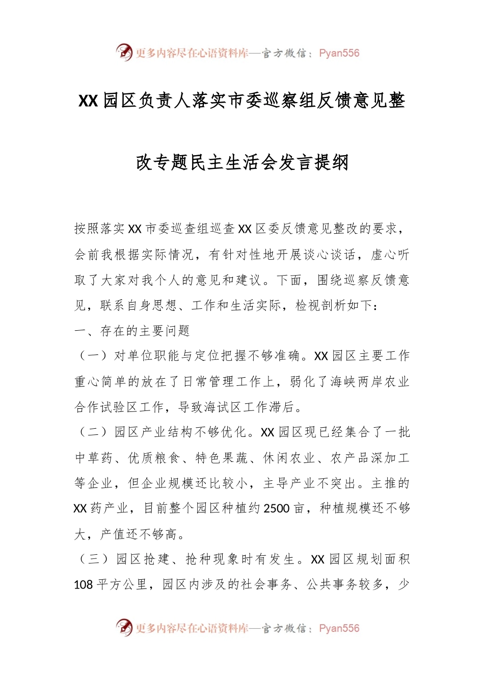 XX园区负责人落实市委巡察组反馈意见整改专题民主生活会发言提纲.docx_第1页