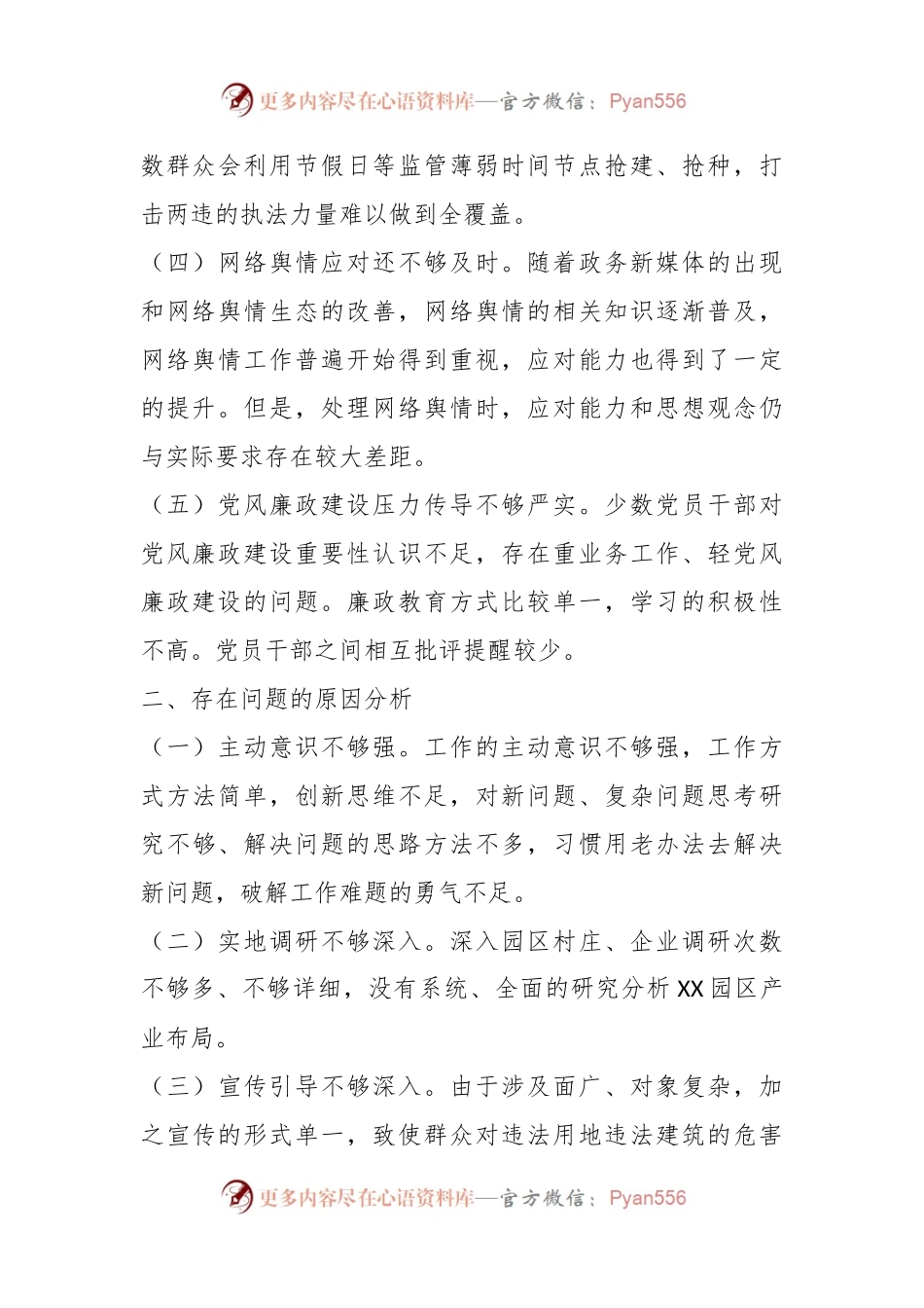 XX园区负责人落实市委巡察组反馈意见整改专题民主生活会发言提纲.docx_第2页