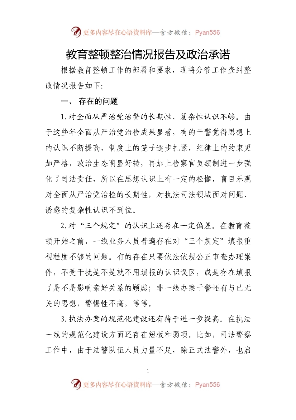 2篇个人教育整顿整治情况报告及政治承诺.docx_第1页