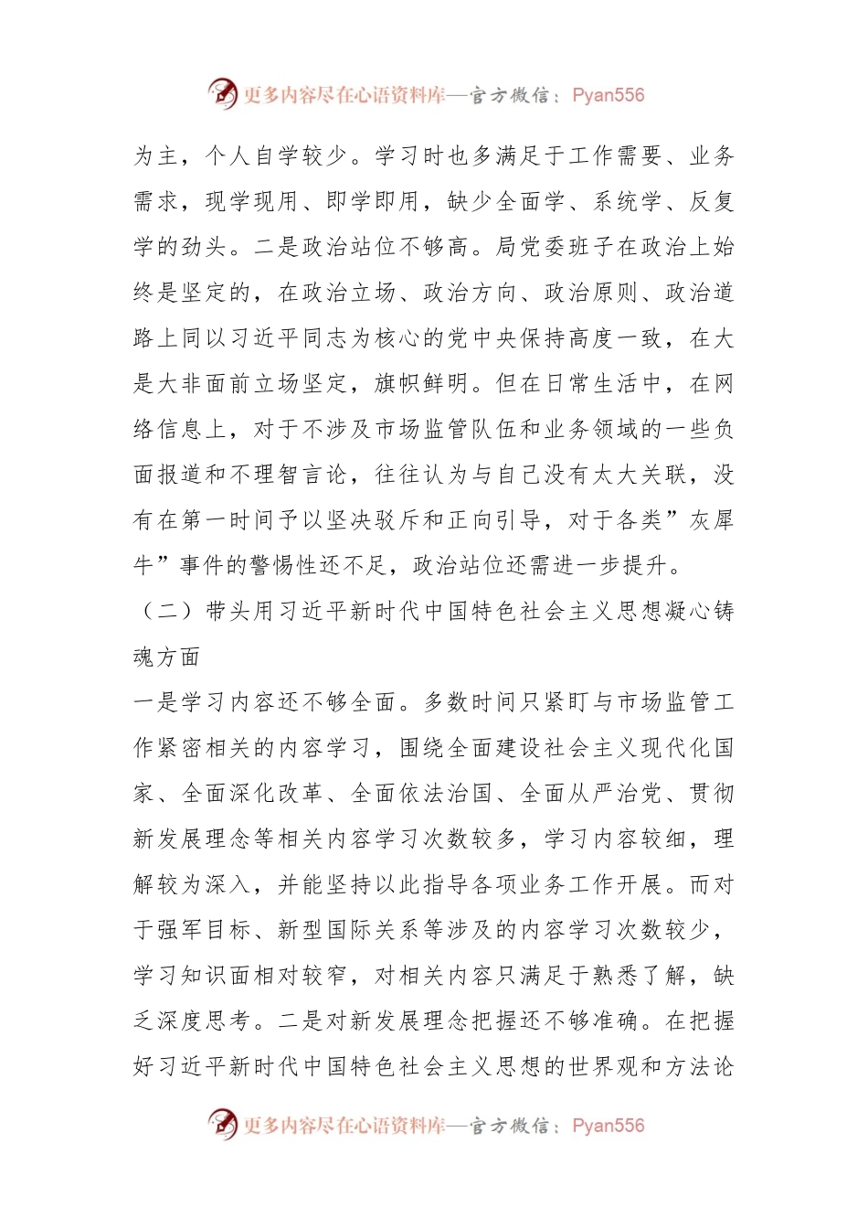 XXX市场监督管理局领导班子本年度民主生活会对照检查材料.docx_第2页