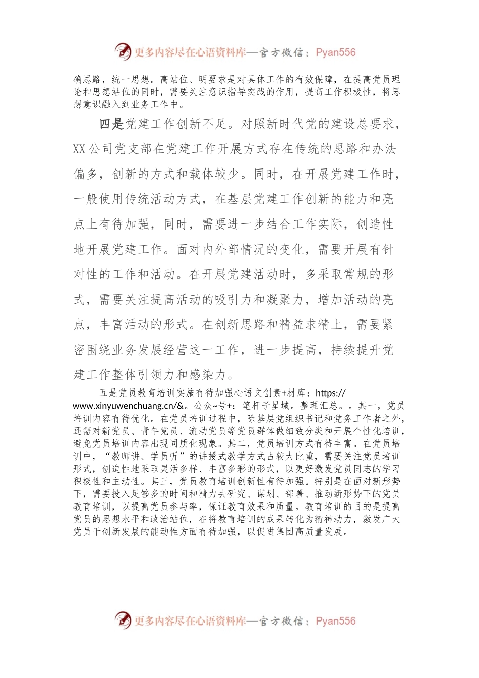 XXX公司2023年基层党建问题清单.docx_第2页