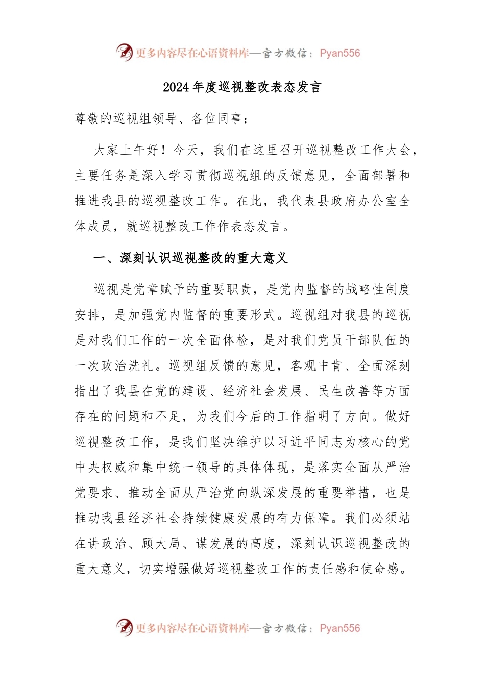 2024年度巡视整改表态发言.docx_第1页