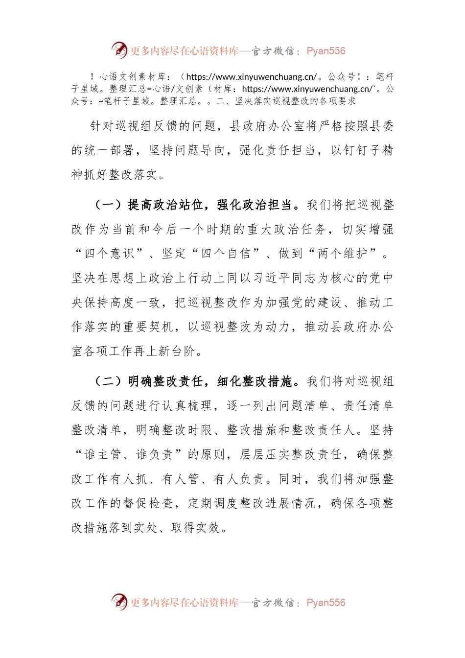 2024年度巡视整改表态发言.docx_第2页