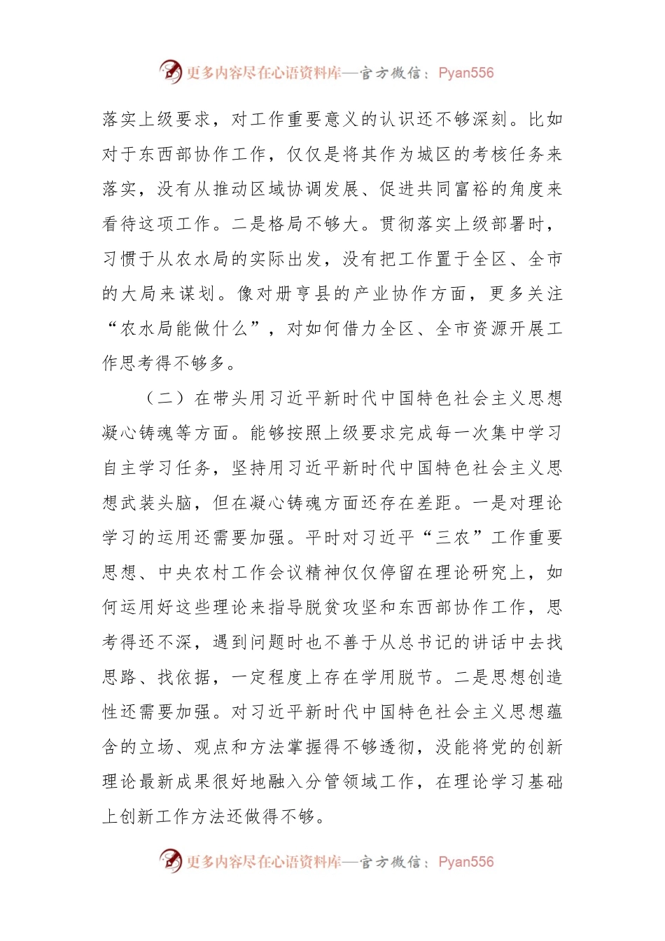 XX市农业农村局局长“六个带头”民主生活会对照检查材料.docx_第2页