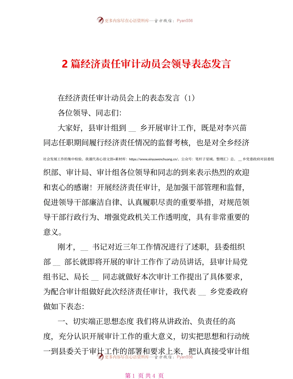 2篇经济责任审计动员会领导表态发言.docx_第1页