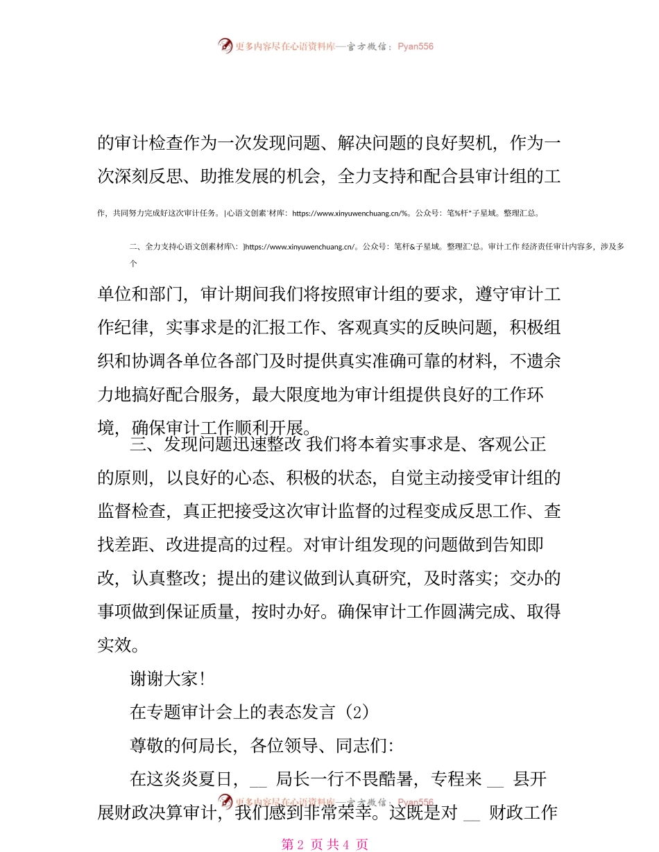 2篇经济责任审计动员会领导表态发言.docx_第2页
