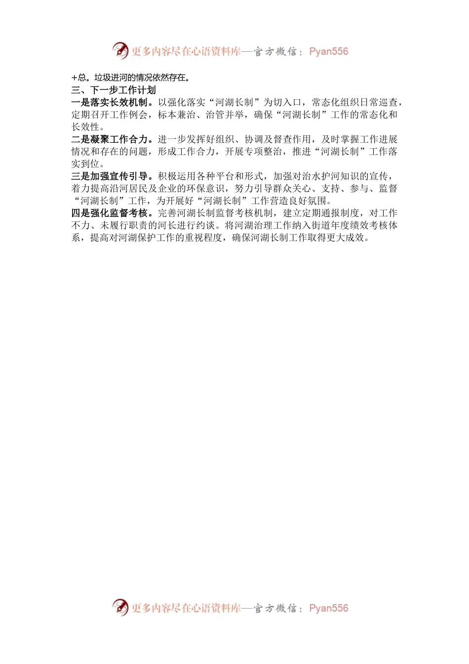 2024年度河湖长制工作述职报告.docx_第2页