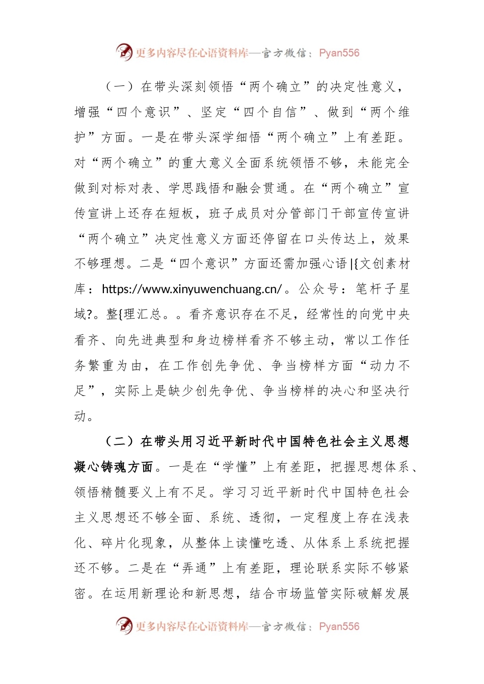 XX市场监管2022年度领导班子组织生活会发言提纲.docx_第2页