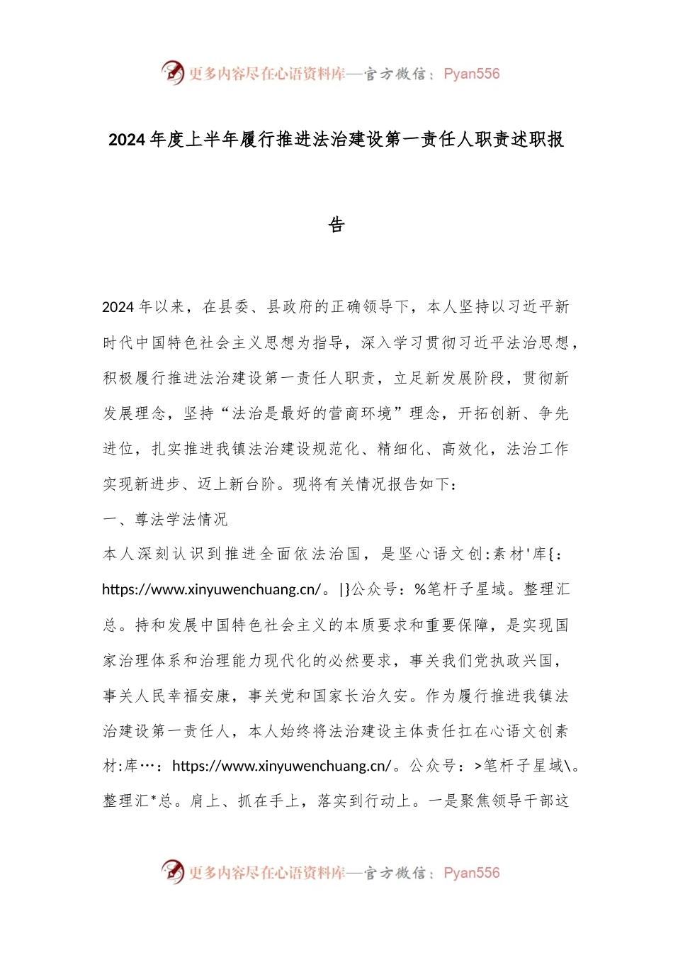 2024年度上半年履行推进法治建设第一责任人职责述职报告.docx_第1页