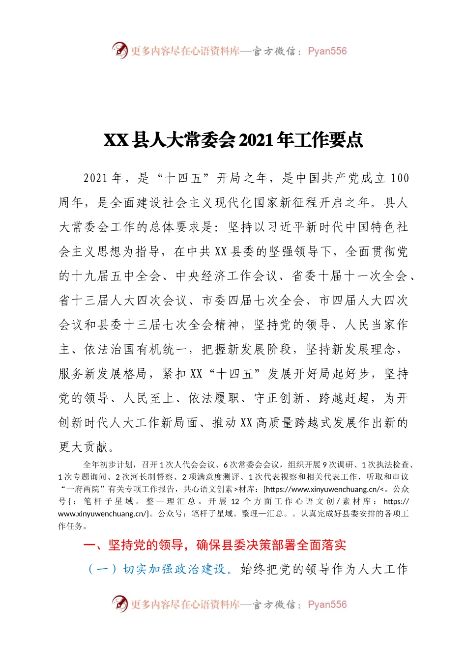 XX县人大常委会2021年工作要点.docx_第1页
