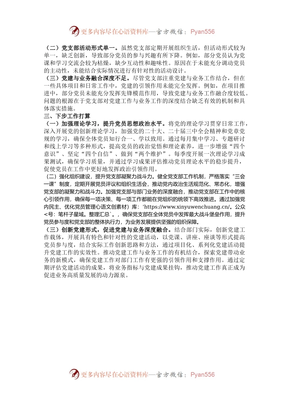 2024年度党支部书记抓党建工作述职报告.docx_第2页