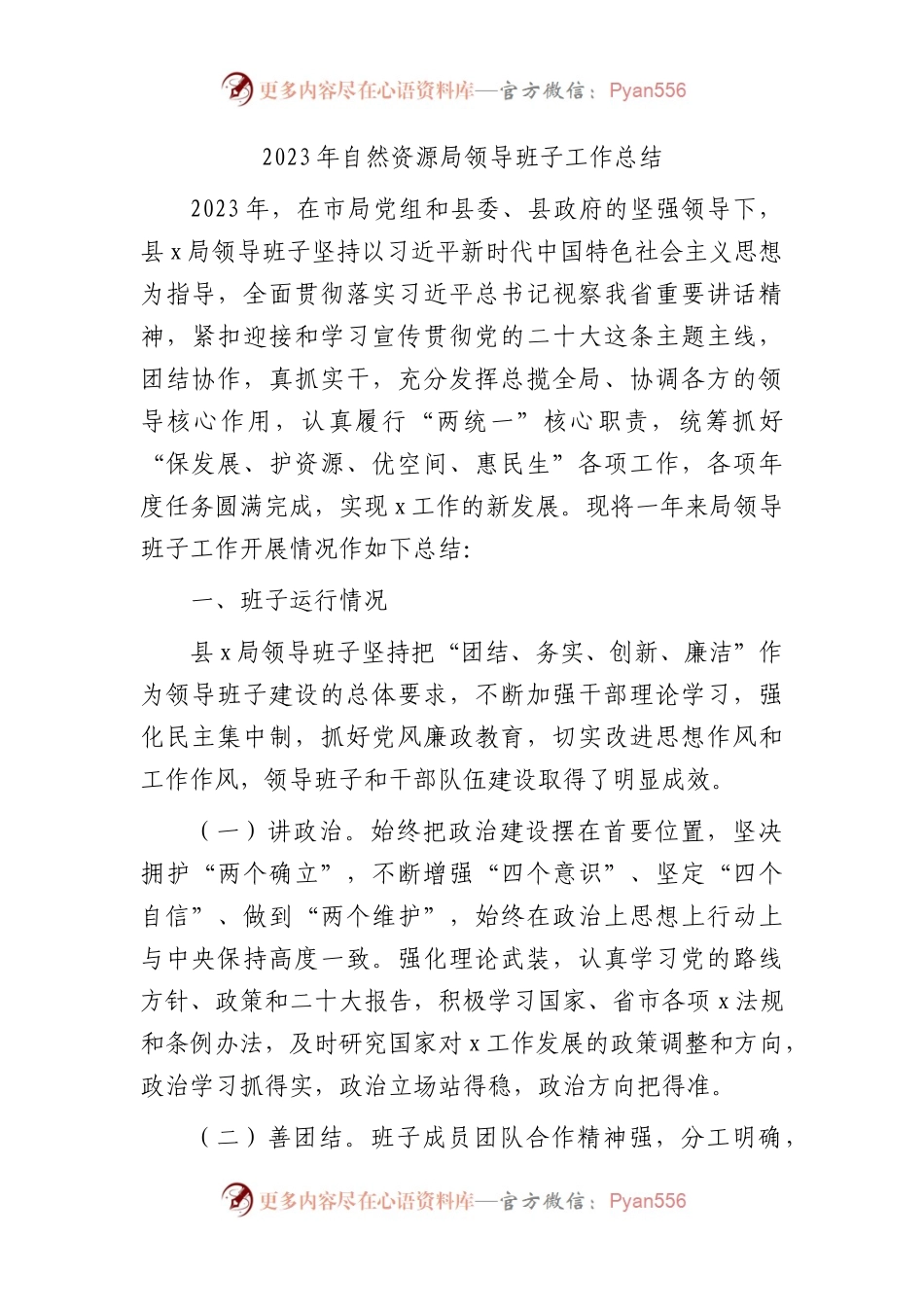 2023年自然资源局领导班子工作总结.docx_第1页