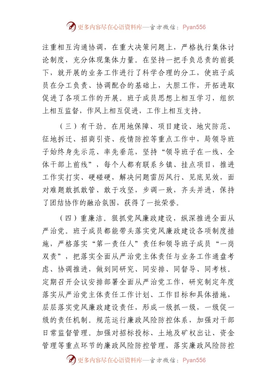 2023年自然资源局领导班子工作总结.docx_第2页