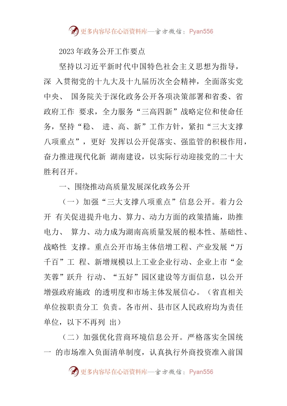 2023年政务公开工作要点.docx_第1页