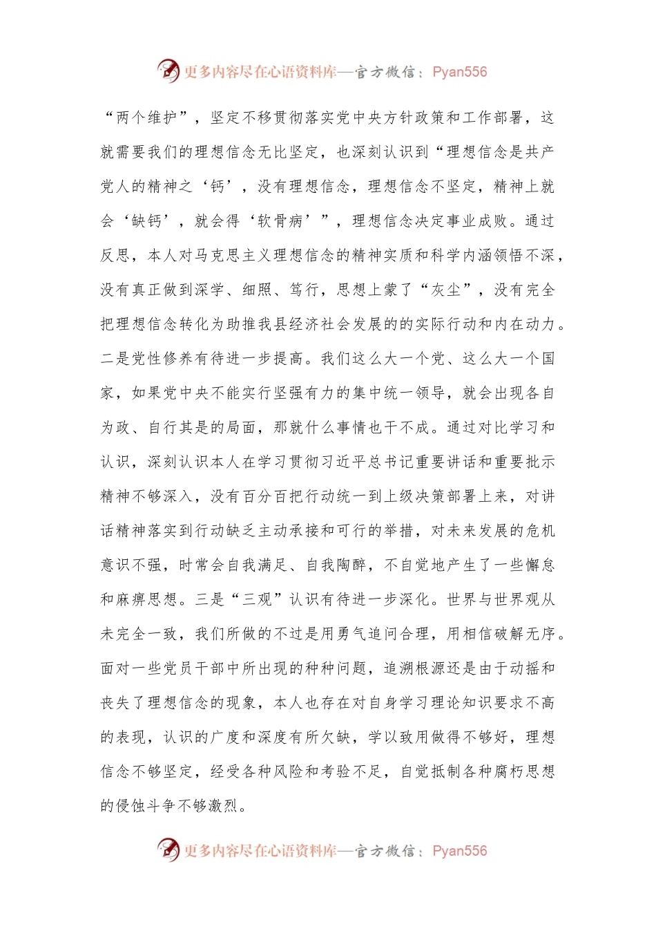 XX副县长2022年度民主生活会对照检查材料.docx_第2页