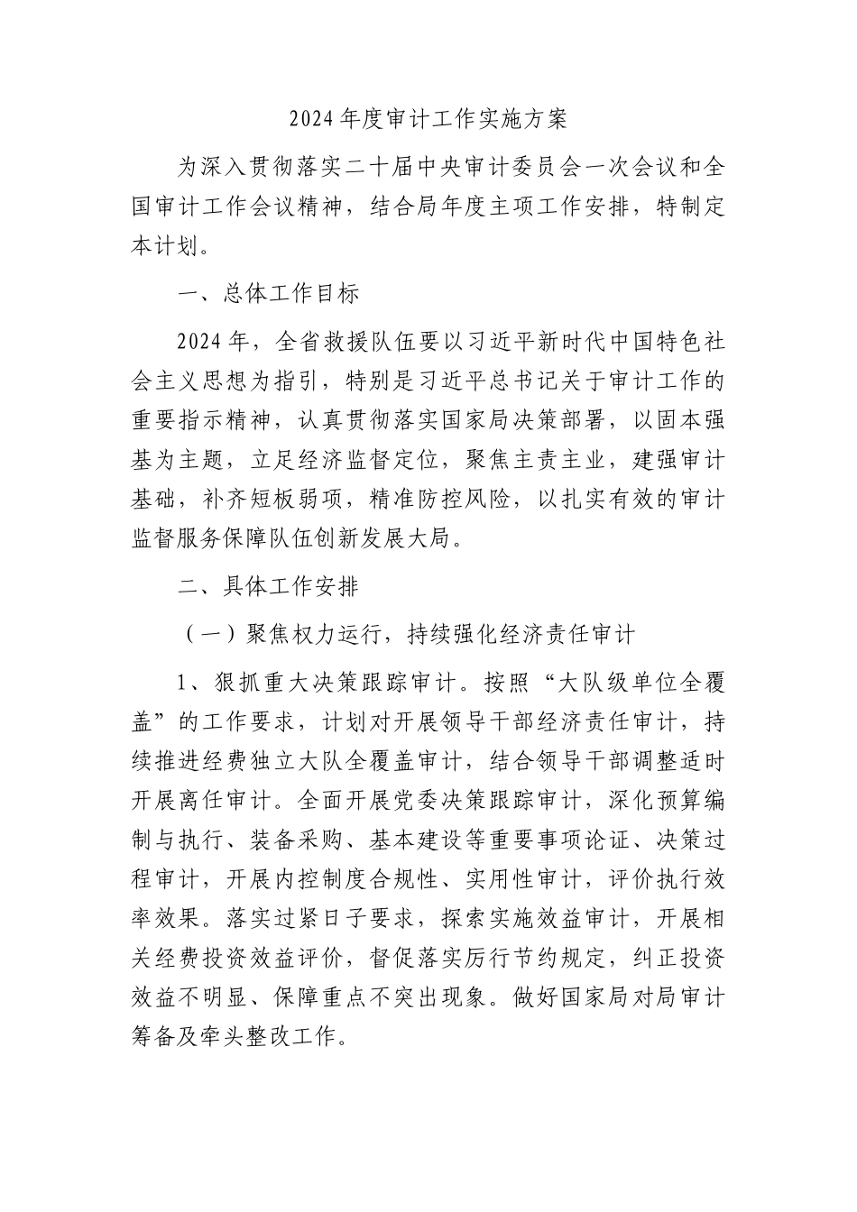 2024年度审计工作实施方案.docx_第1页