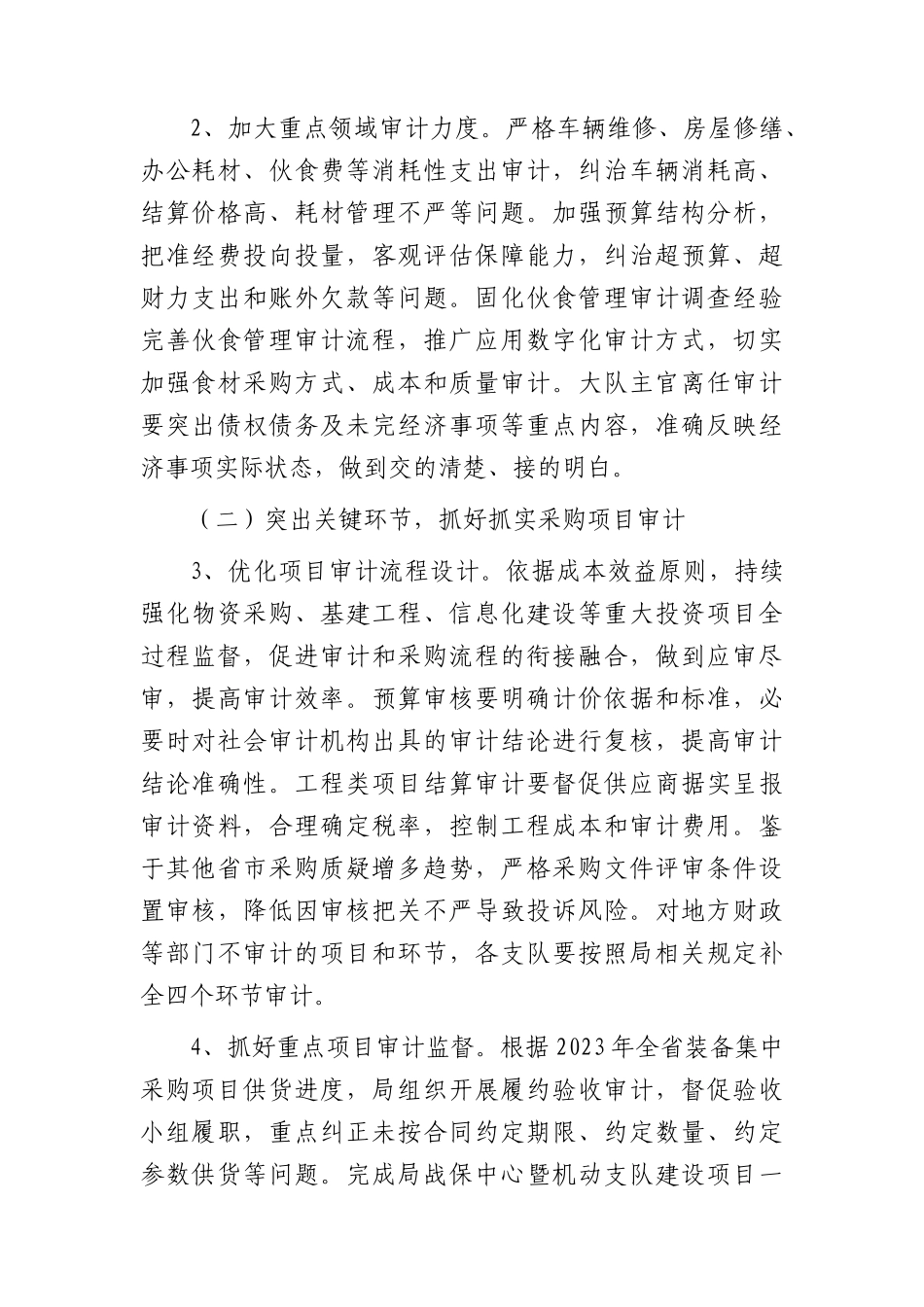 2024年度审计工作实施方案.docx_第2页