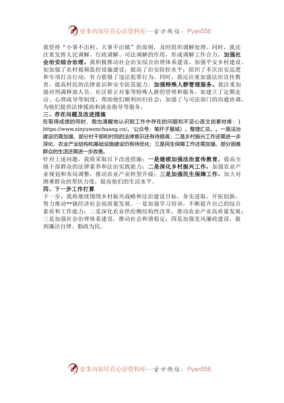 2024年乡镇领导班子个人年度述法报告.docx_第2页