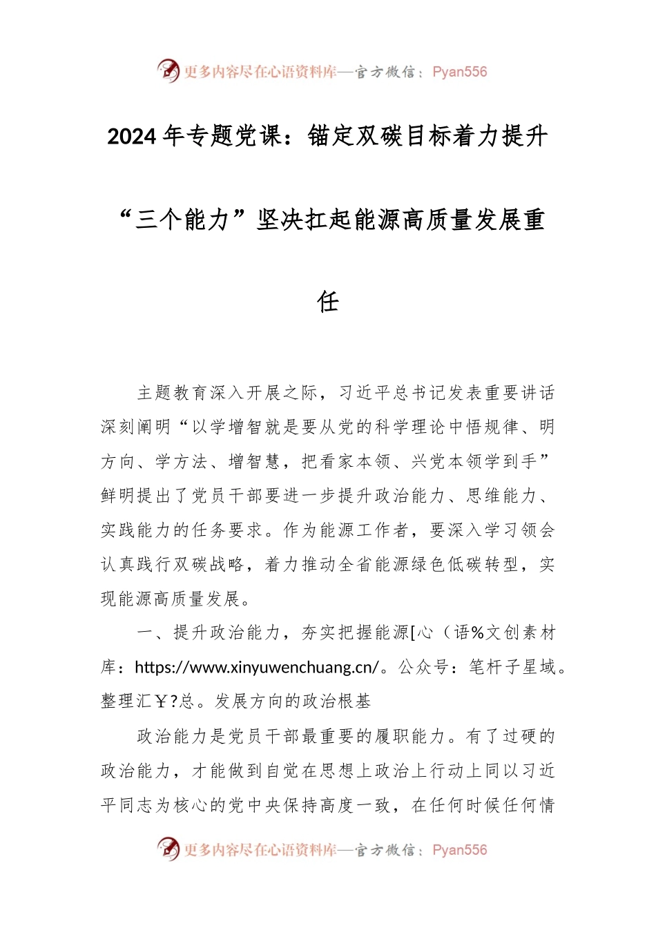 2024年专题党课：锚定双碳目标着力提升“三个能力”坚决扛起能源高质量发展重任.docx_第1页